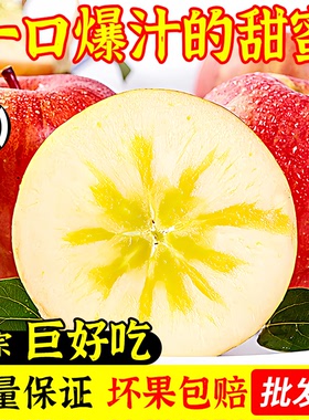正宗新疆阿克苏冰糖心苹果特级当季新鲜水果10斤超大果丑苹果整箱