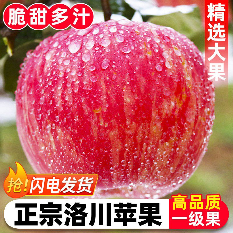 正宗洛川苹果9斤新鲜水果陕西红富士当季整箱冰糖心脆甜大10