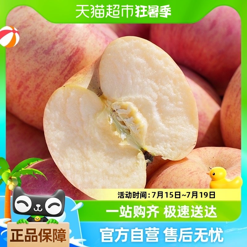 山东烟台红富士苹果丑苹果冰糖心苹果10斤装脆甜苹果水果新鲜