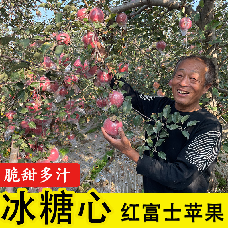 山西红富士苹果水果脆甜冰糖心丑苹果新鲜时令水果整箱水果