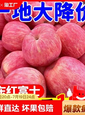 陕西洛川苹果10斤新鲜水果红富士当季整箱冰糖心脆甜苹果大果一级