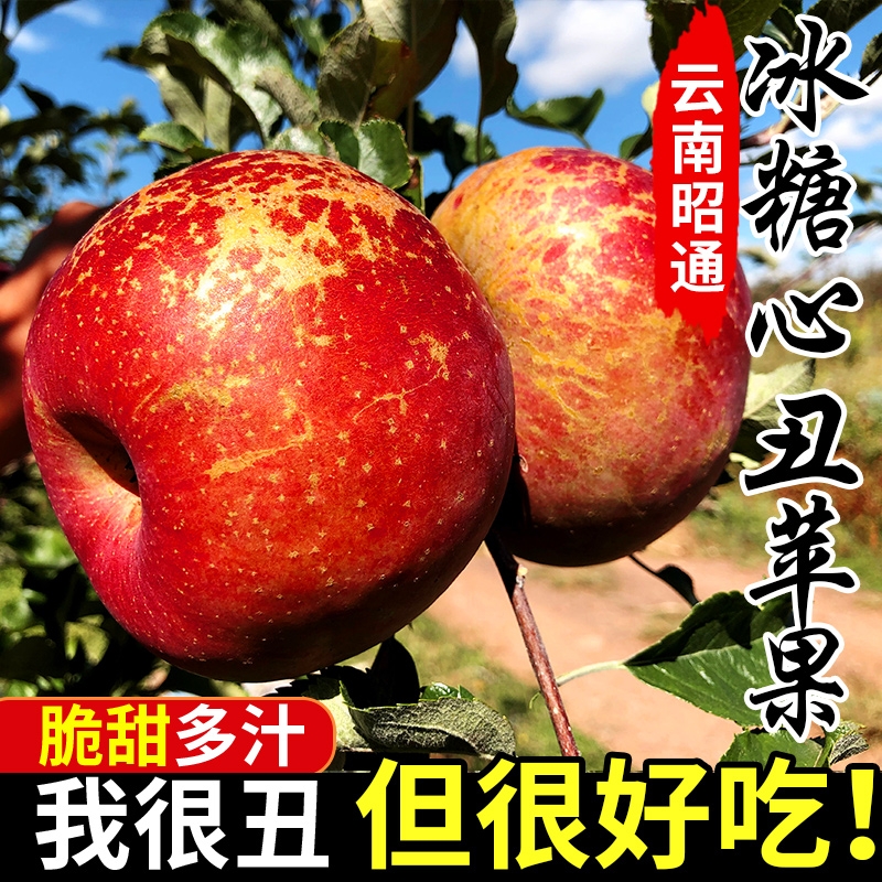 云南昭通市丑苹果正宗冰糖心苹果新鲜水果当季整箱年货红富士萍果
