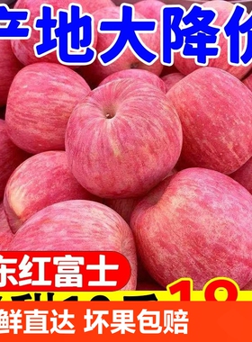 陕西洛川苹果10斤新鲜水果红富士当季整箱冰糖心脆甜苹果大果一级