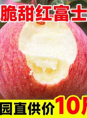 陕西洛川红富士苹果5斤10斤新鲜当季整箱脆甜孕妇冰糖心水果包邮