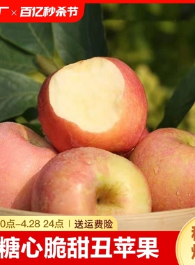 【爆甜】正宗冰糖心红富士苹果脆甜丑苹果新鲜水果整箱批发