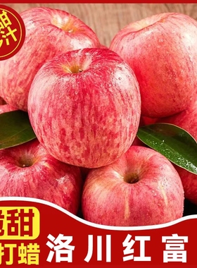 陕西正宗洛川苹果脆甜当季新鲜水果红富士冰糖心丑苹果大果一级