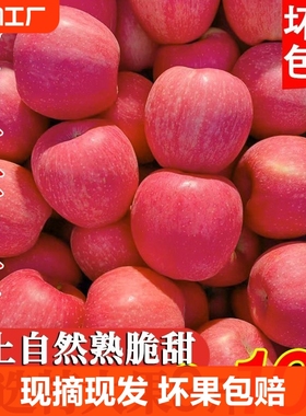 陕西洛川苹果水果新鲜10斤正宗当季红富士脆甜冰糖心整箱应季包邮