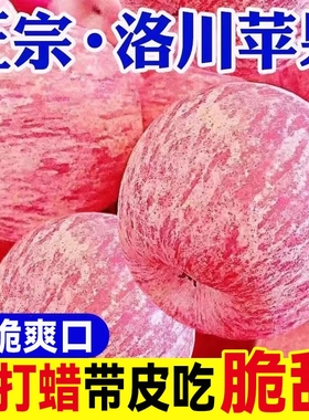 陕西洛川苹果新鲜当季脆甜红富士冰糖心苹果水果10斤5斤整箱客服