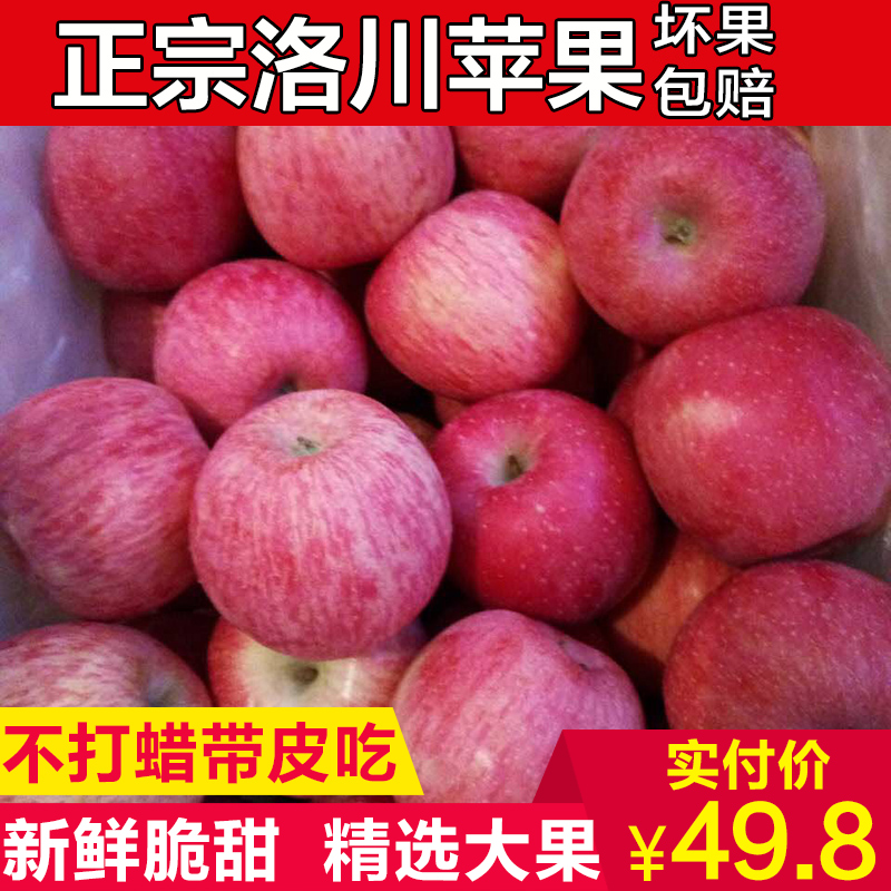 【包脆甜】正宗陕西延安洛川红富士苹果新鲜水果冰糖心一级大10斤