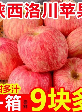 洛川苹果新鲜水果当季整箱10斤陕西正宗一级脆甜红富士冰糖心