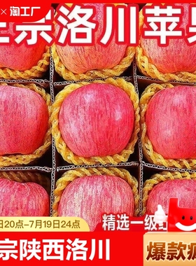 正宗陕西洛川红富士冰糖心苹果9斤新鲜脆甜水果一级丑苹果现摘发