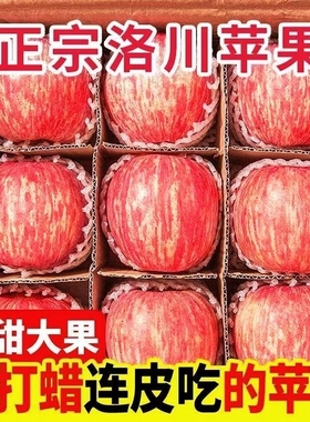 洛川苹果新鲜水果批发冰糖心红富士丑苹果5斤/9斤多规格可选烟台