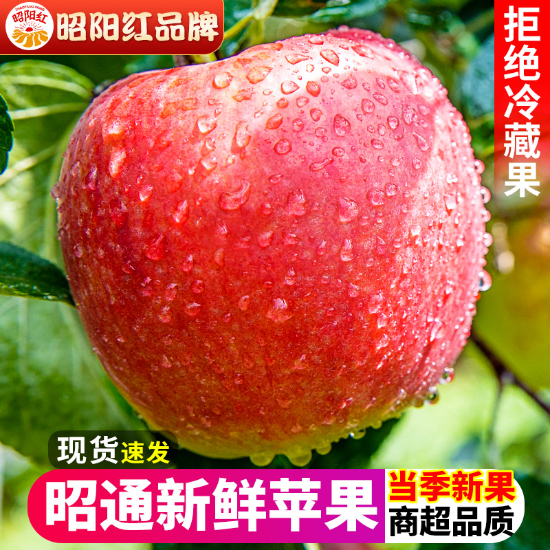 【昭阳红】昭通冰糖心红露苹果新鲜水果红富士丑平果大果甜10