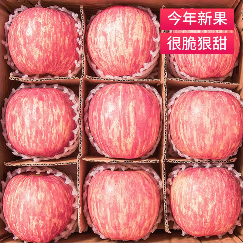 正宗陕西洛川苹果水果新鲜当季整箱红富士冰糖心特级脆甜10包邮斤