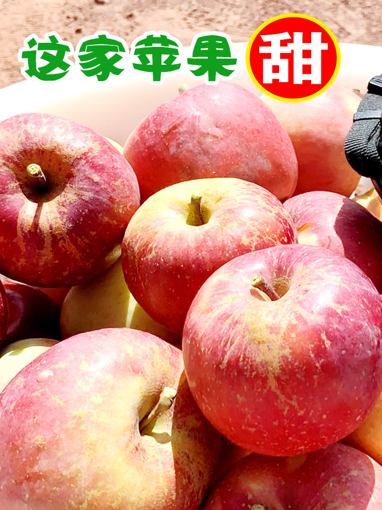 正宗云南昭通丑苹果冰糖心苹果红富士现摘新鲜水果当季整箱9斤大
