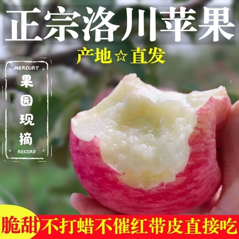 22年正宗陕西洛川苹果红富士新鲜水果脆甜冰糖心一级大果5斤