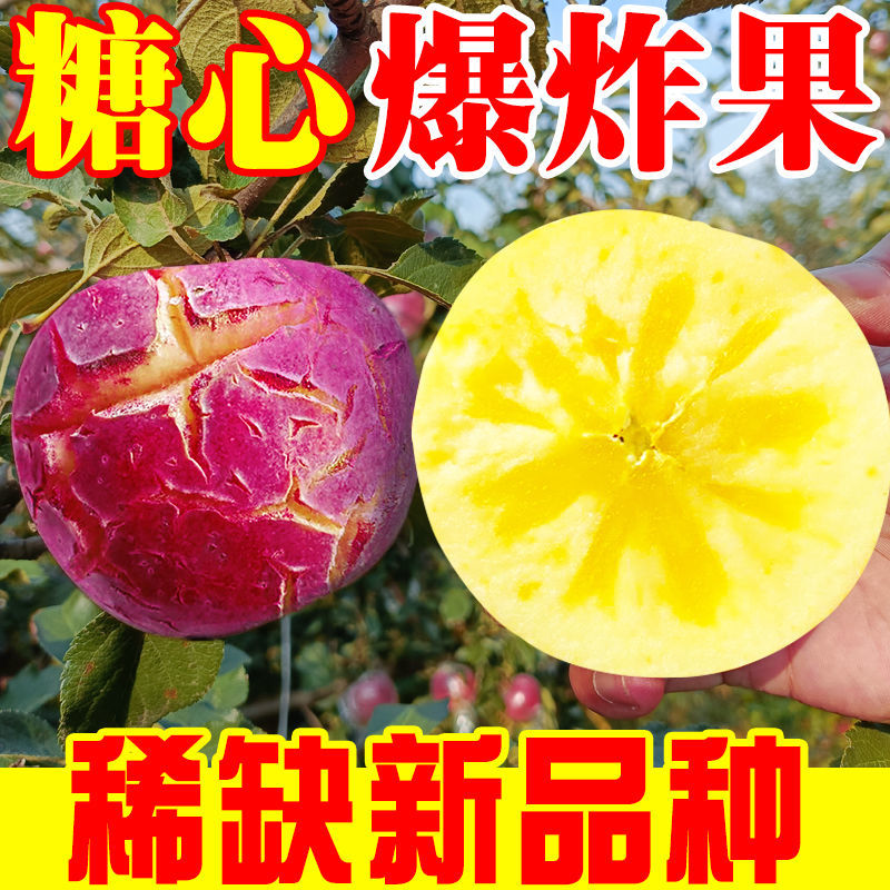 【爆炸冰糖心】脆甜苹果5新鲜10斤丑正宗应季儿童水果红富士整箱