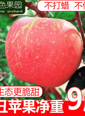 平果水果高山苹果非心山西净重红富士新鲜斤冰糖丑脆甜大9运城