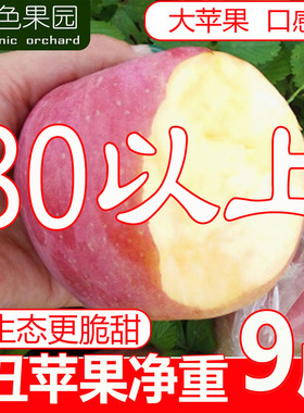 红富士丑苹果净重9斤原生态高山新鲜水果山西运城平果非冰糖心