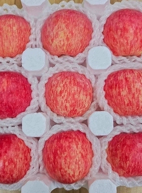 陕西洛川红富士苹果10斤新鲜包邮当季正宗冰糖心脆甜一级整箱水果