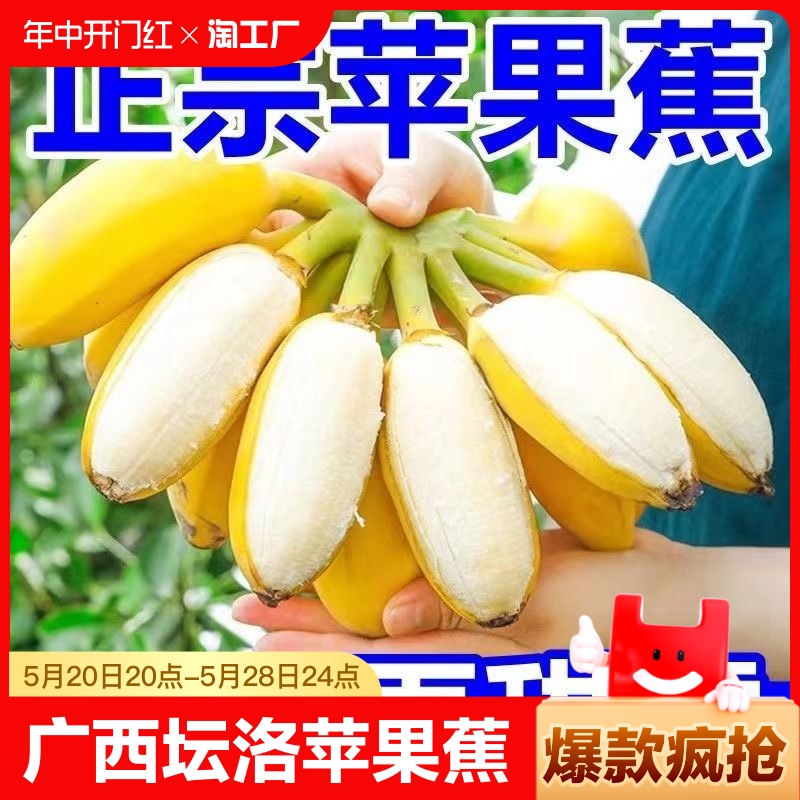 正宗苹果蕉应季自然熟香蕉5斤9斤新鲜整箱粉芭蕉水果现摘软糯香甜