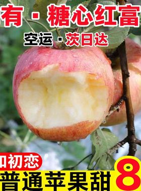 【正宗】冰糖心苹果红富士新鲜水果应季丑苹果整箱3/5/10斤脆甜包