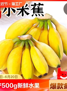 广西小米蕉香蕉水果新鲜5斤芭蕉心当季自然熟皇帝蕉苹果整箱包邮