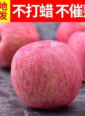 山东烟台苹果水果栖霞红富士新鲜脆甜纯天然孕妇水果80果5斤包邮
