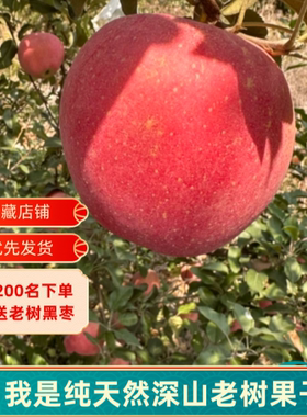 太行山水果新鲜整箱当季纯天然红富士苹果现采现发5斤大果爆甜