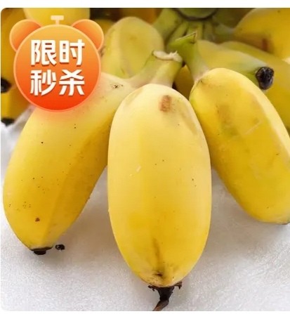 贵州苹果蕉新鲜小米蕉香蕉自然熟香甜粉蕉当季水果皇帝蕉5斤包邮