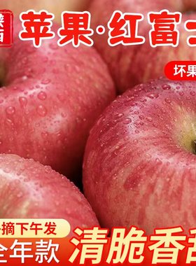 【果客】陕西延安·红富士苹果·5/9斤洛川脆苹果糖心新鲜水果甜