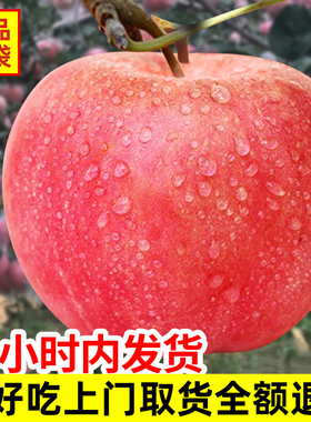苹果水果新鲜当季整箱脆甜青丑平果5斤应季红富士萍果冰糖心