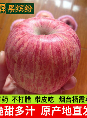 山东烟台栖霞红富士苹果水果新鲜5斤一箱当季正宗时令生鲜平安果
