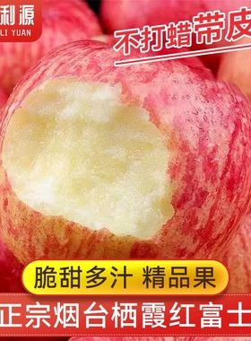 2023年苹果新鲜脆甜烟台栖霞水果苹果红富士当季平果整箱包邮5斤