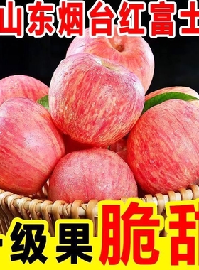 山东烟台红富士5斤苹果水果新鲜整箱包邮冰糖心栖霞平果5脆甜大果