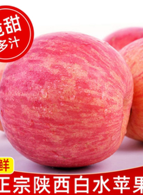 新果陕西白水红富士苹果脆甜多汁孕妇吃新鲜水果5斤包邮非洛川