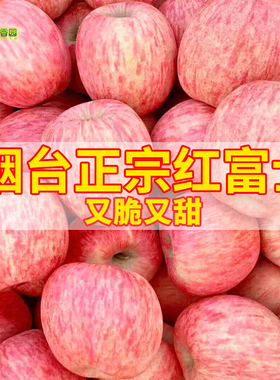 新鲜正宗山东栖霞红富士脆甜苹果水果10烟台富士苹果5斤整箱包邮