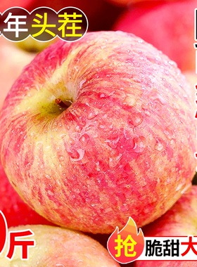 陕西红富士苹果10斤水果新鲜当季整箱脆甜丑苹果冰糖心萍平果应5