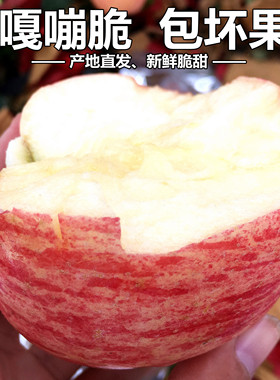 苹果新鲜水果山东红富士苹果烟台栖霞当季整箱产地直销5 10斤大果