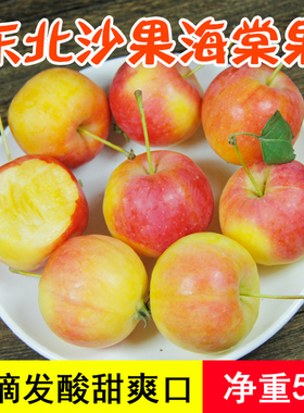 东北沙果黄太平5斤海棠果酸甜苦涩内蒙古特产新鲜水果小苹果包邮
