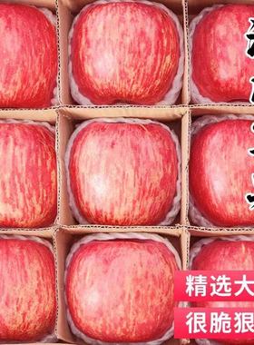 正宗陕西洛川苹果5斤新鲜水果当季整箱包邮红富士冰糖心脆平果10