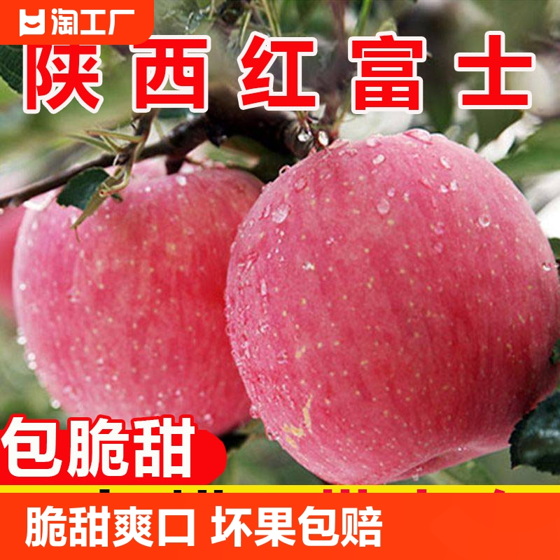 陕西红富士苹果水果新鲜冰糖心苹果10斤当季平果5斤9斤一级客服