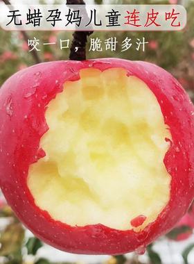 2023头茬陕西洛川苹果新鲜水果整箱当季红富士冰糖心脆甜5斤包邮