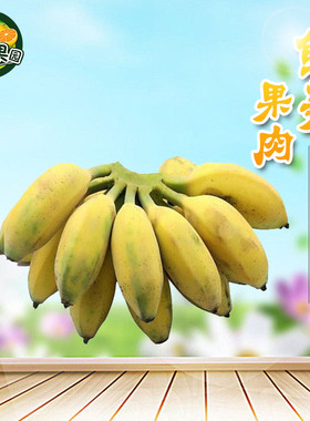 海南小米芭蕉当季水果新鲜5斤自然熟banana整箱苹果香蕉芭蕉包邮