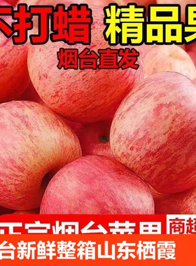 烟台红富士苹果新鲜水果整箱山东栖霞脆甜冰糖心丑平果3/5/9/10斤