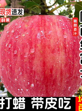 陕西红富士苹果水果新鲜应当季5斤脆甜丑苹果冰糖心不打蜡9斤整箱