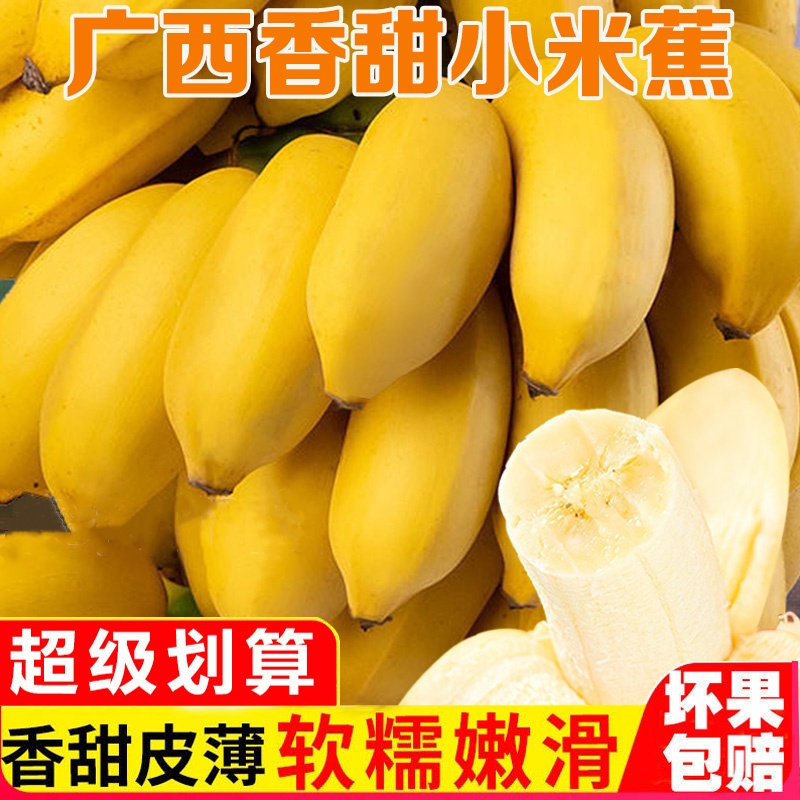 广西小米蕉新鲜香蕉10斤当季时令水果banana苹果粉蕉小芭蕉整箱5