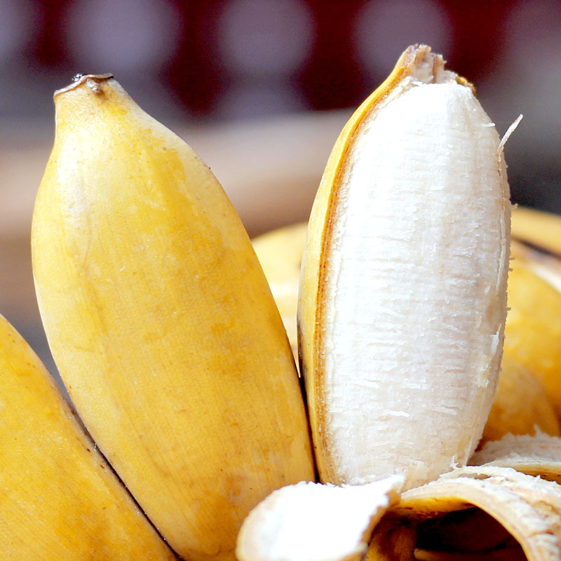广西新鲜小米蕉香蕉水果现摘现发整箱3斤5斤9斤小香蕉芭蕉苹果蕉
