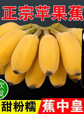 正宗苹果蕉香蕉新鲜自然熟9斤广东粉蕉广西香甜小米皇帝芭焦水果5