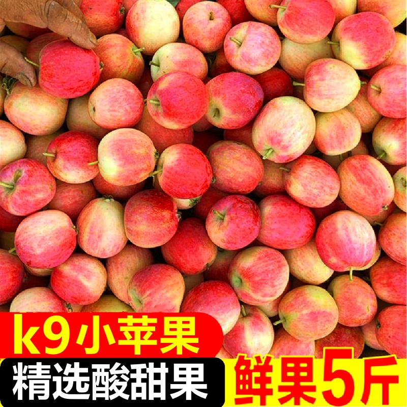 东北沙果k9新鲜现摘现发小沙果5斤新鲜包邮水果糖心小苹果海棠果